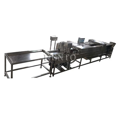 Egg Washing Processing Line
